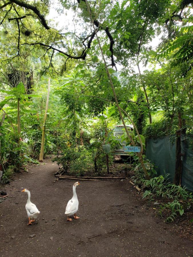 Rainbow Caravan Hostel Las Pilas Luaran gambar